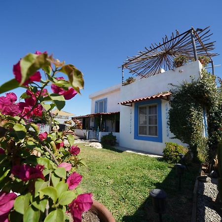 Santerra, Valle De Guadalupe Extérieur photo