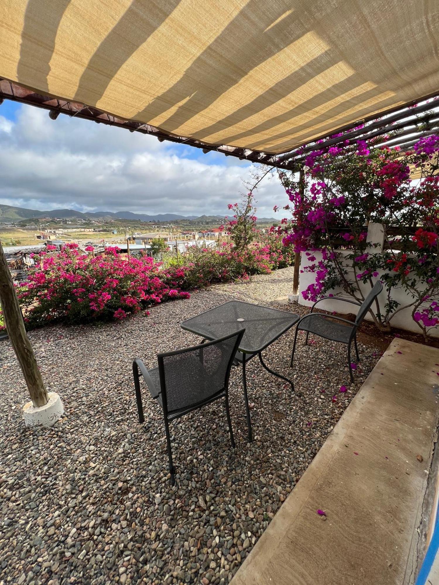 Santerra, Valle De Guadalupe Extérieur photo