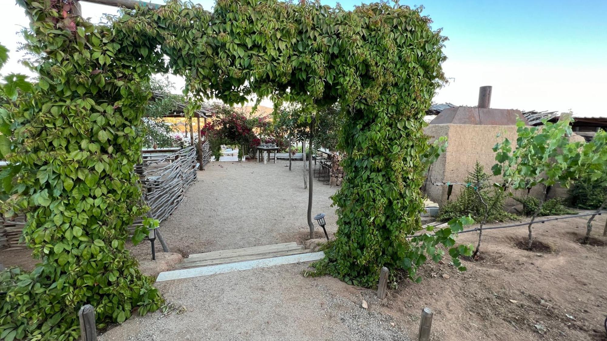 Santerra, Valle De Guadalupe Extérieur photo