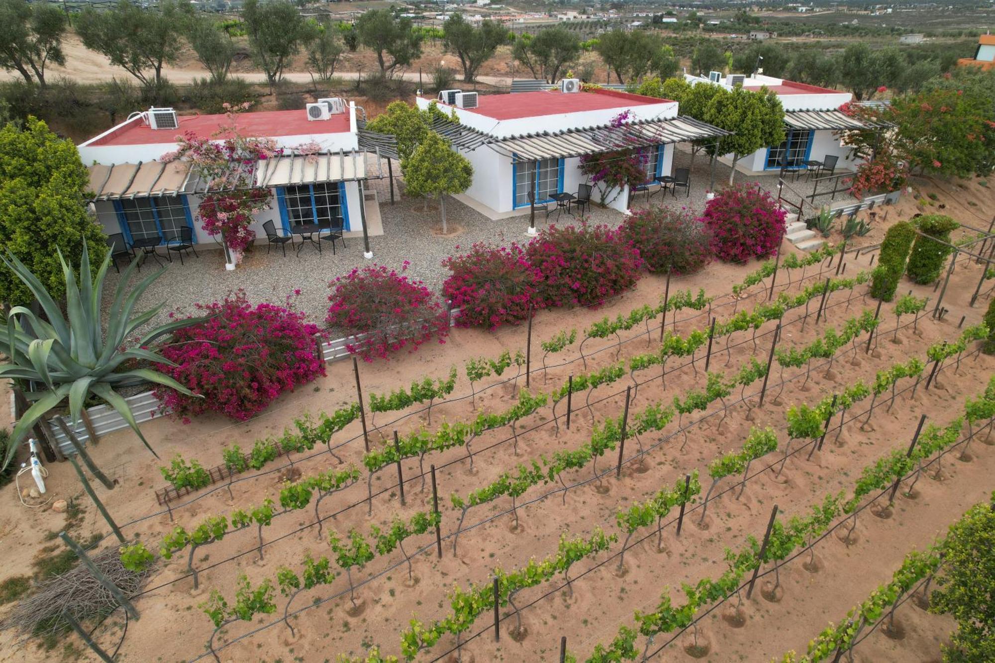 Santerra, Valle De Guadalupe Extérieur photo